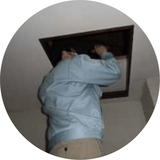 現地調査の様子