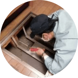 現地調査の様子